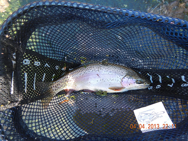 Big Spring Creek 04-05-13 001.jpg -                                